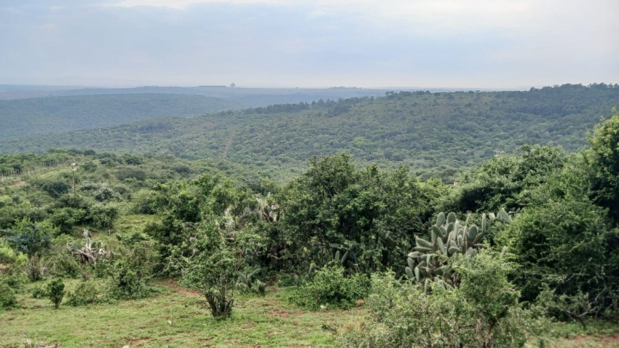 Commercial Property for Sale in Bathurst Rural Eastern Cape